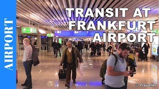 TRANSIT WALK AT FRANKFURT Airport FRA Terminal 1  Connection Flight Transfer Arriving amp Departing [upl. by Fornof22]